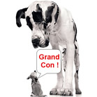 photo humour gratuit